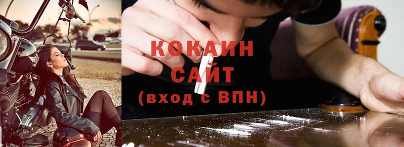 COCAIN FishScale  Павловский Посад 